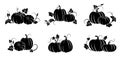 Pumpkin. Set of silhouettes of different pumpkins. Vector illustration